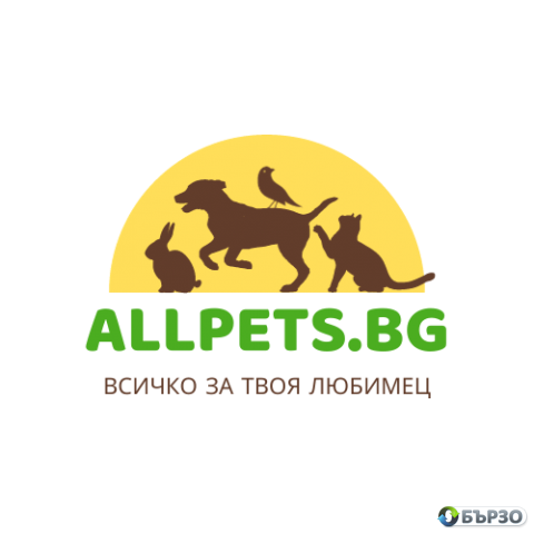 Allpets - всичко за света на животните