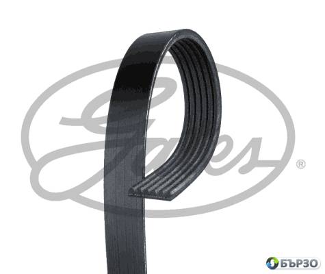 pistov remuk za Dodge Durango 1997 GATES 6PK2238