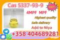 Best Quality CAS 5337–93–9 4-Methylpropiophenone Light Yellow Liquid