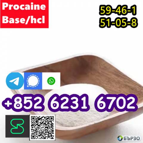 CAS 59-46-1 Procaine with high quality hot sale stock