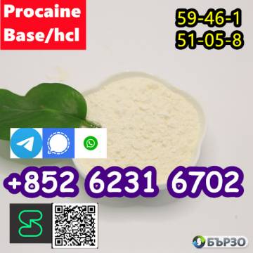 selling Procaine base CAS 59-46-1 /51-05-8 /...