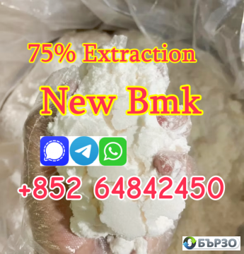 cas5449-12-7 Sodium salt BMK Glycidic Acid new...