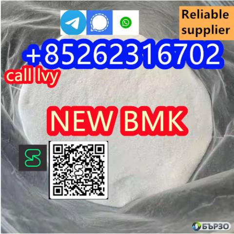 High quality 99% CAS 5449-12-7 BMK Glycidic Acid Sodium Salt Powder