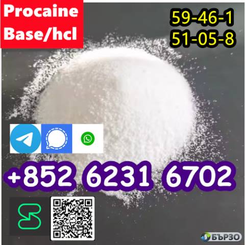selling Procaine base CAS 59-46-1 /51-05-8 / procaine hcl and base sale Holland