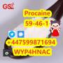 Procaine HCl CAS 51-05-8 – In Stock, Ready to Ship to Europe