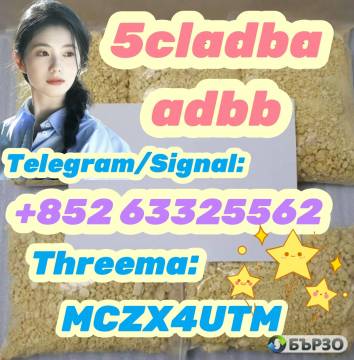 High quality 5cl