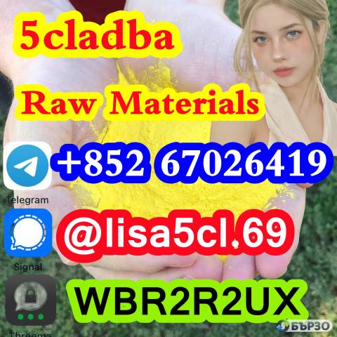 5cladba best cannabinoid 5cladba precursor raw 5cl-adb-a material in stock1399816-54-6