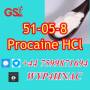 Procaine HCl for Sale – CAS 51-05-8, Get Invoice & Pay Your Way