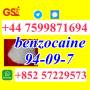 Benzocaine CAS 94-09-7 – Multiple Contact Channels, Instant Response