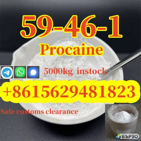 High quality cas 59-46-1 procaine base powder safely delivered to your door