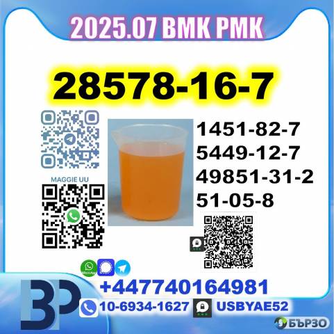 28578-16-7 BMK PMK factory 5449-12-7,49851-31-2,1451-82-7,51-05-8