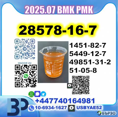 28578-16-7 BMK PMK factory 5449-12-7,49851-31-2,1451-82-7,51-05-8