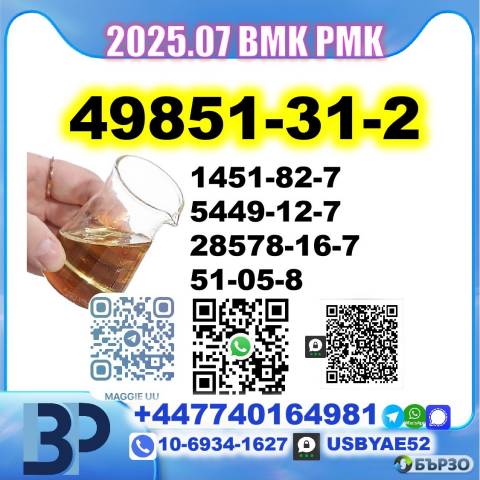 2-Bromovalerophenone 49851-31-2 BMK PMK factory 5449-12-7,28578-16-7,1451-82-7,51-05-8