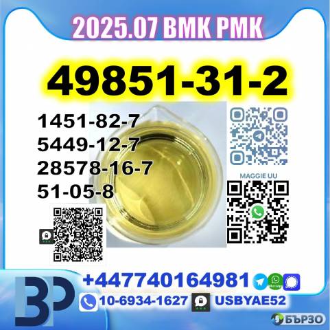 2-Bromovalerophenone 49851-31-2 BMK PMK factory 5449-12-7,28578-16-7,1451-82-7,51-05-8