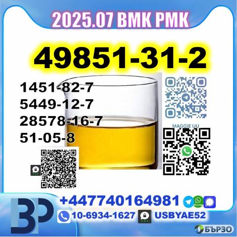 2-Bromovalerophenone 49851-31-2 BMK PMK factory 5449-12-7,28578-16-7,1451-82-7,51-05-8