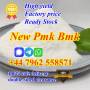 2025 new arrival premium pmk powder with cheap price in stock