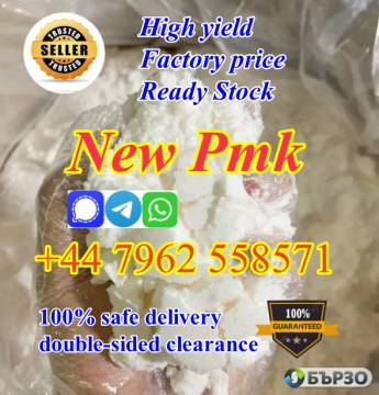 Dutch hot seller new pmk powder with high yield