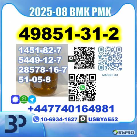 2-Bromo-1-Phenyl-Pentan-1-One (cas:49851-31-2) Source Factory BMK PMK BK4