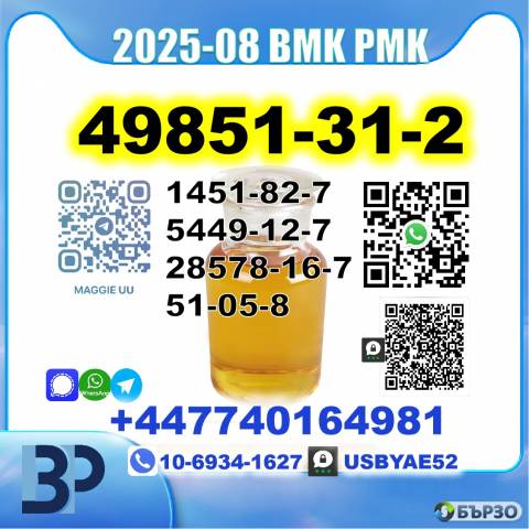 CAS:49851-31-2(2-Bromo-1-Phenyl-Pentan-1-One) BMK PMK source factory