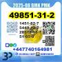 CAS:49851-31-2(2-Bromo-1-Phenyl-Pentan-1-One) BMK PMK source factory