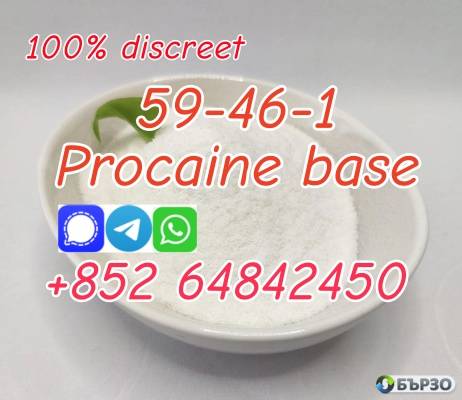 factory supply Procaine base CAS59-46-1 with good quality low price