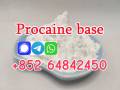 factory supply Procaine base CAS59-46-1 with good quality low price