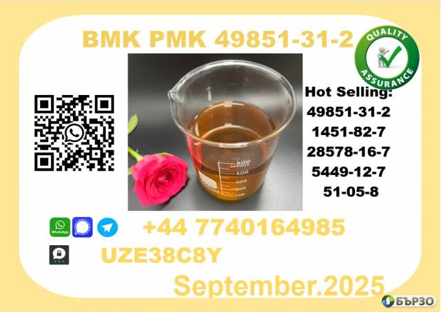 49851-31-2，BMK PMK high purity source factory