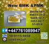 BMK powder 5449-12-7 PMK Glycidate powder 28578-16-7 with High-quality products and reliable manufacturers