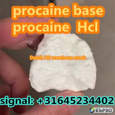 selling Procaine base CAS 59-46-1 /51-05-8 / procaine hcl and base sale Holland