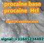 selling Procaine base CAS 59-46-1 /51-05-8 / procaine hcl and base sale Holland