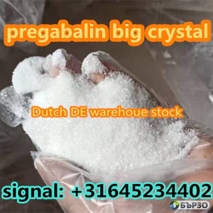 pregabalin powder Salt CAS 148553-50-8 C8H17NO2