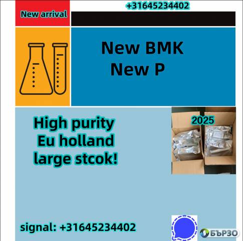 Predám Dutch hot seller new pmk powder with high yield in ready stock