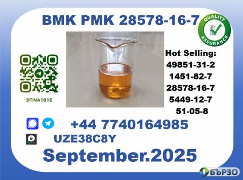 CAS 28578-16-7 BMK PMK Certified Factory Supply