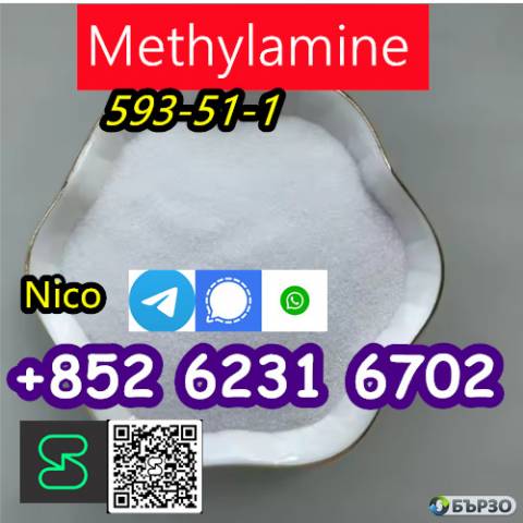 how to buy Hot sales CAS 593-51-1 Methylamine HCl with good quality