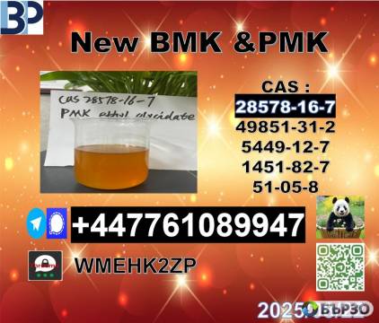 100% safe delivery New P-M-K oil 28578-16-7 in...
