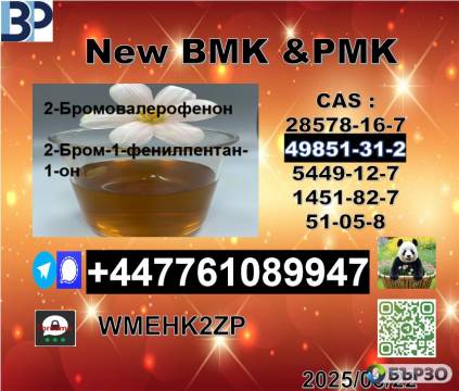 Hot sale 2-Bromovalerophenone cas 49851-31-2...