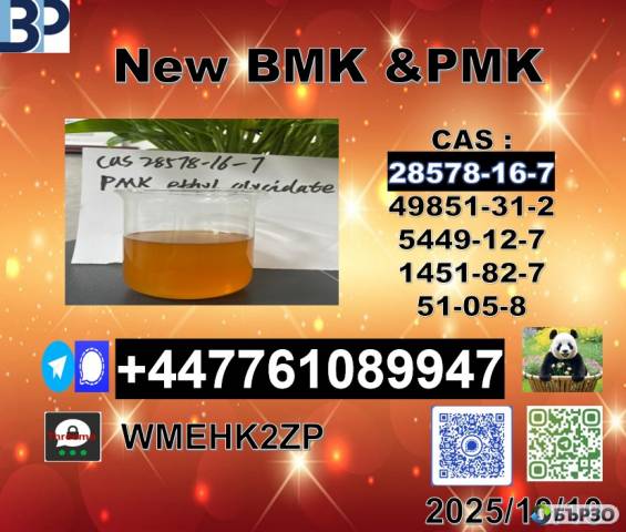 leading Supplier cas28578-16-7 PMK ethyl glycidate 1369021-80-6 with competitive price