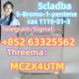 5-Bromo-1-pentene CAS 1119-51-3 High quality