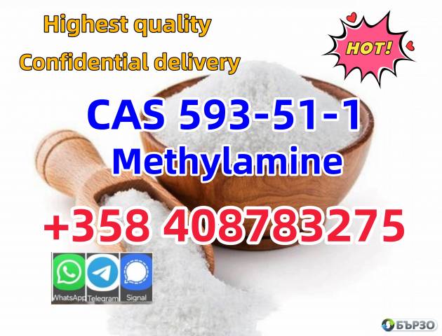 CAS 593-51-1 Methylamine hydrochloride Factory Supply High Purity 100% Safe Delivery