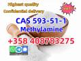 CAS 593-51-1 Methylamine hydrochloride Factory Supply High Purity 100% Safe Delivery