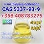 China Factory Supply CAS 5337-93-9 4-Methylpropiophenone Professional Supplier