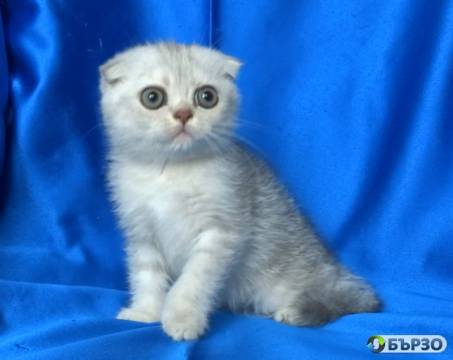 Klepouhi kusokosmesti...