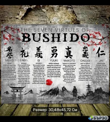 Poster platno Bushido