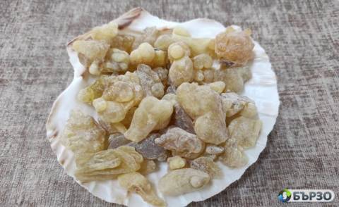 Bjal Tamjan donesen ot OMAN...