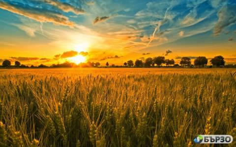 Купувам ЗЕМЕДЕЛСКА ЗЕМЯ...