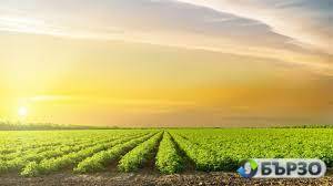 Купувам ЗЕМЕДЕЛСКА ЗЕМЯ...