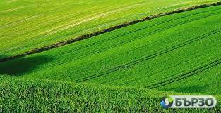 Купувам ЗЕМЕДЕЛСКА ЗЕМЯ...