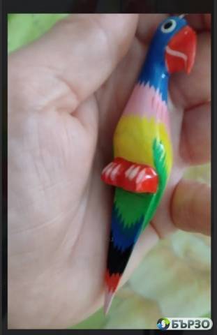 Обици Папагали