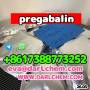 Fast Delivery Tieneptine Sulphate 99% pregabalin crystals powder 148553-50-8
