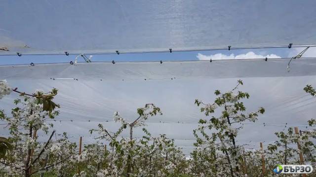 СКАЙ ПРОТЕКТ – Мрежи за селското стопанство и строителството